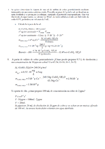 Preg-practicas.pdf