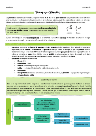 Tema-4-Glucidos.pdf