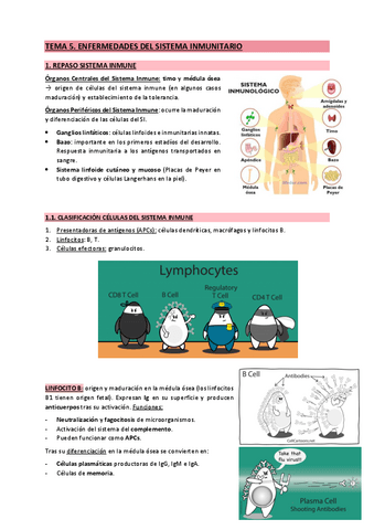 5. Sistema inmune.pdf