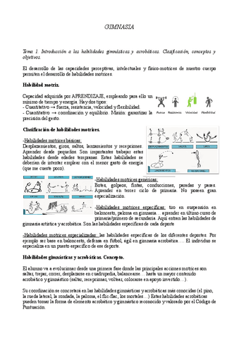 GIMNASIA-tema-1-2-3-y-4.pdf