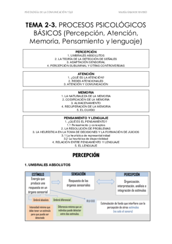 TEMA 2y3 PSICOLOGÍA.pdf