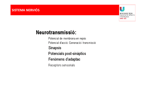 Neurotransmissio-2.pdf
