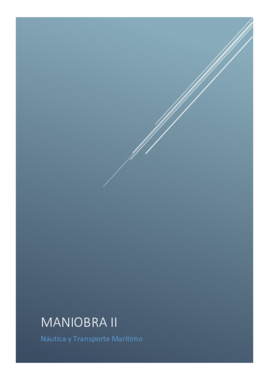 MANIOBRA II LUIS ARMELLES DEFINITIVO.pdf