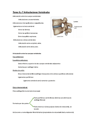 Tema-6-y-7-Articulaciones-Vertebrales.pdf