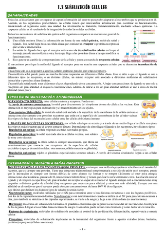 2-Senalizacion-celular.pdf
