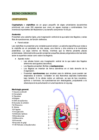 Algas-Chromistas-cryptophyta.pdf