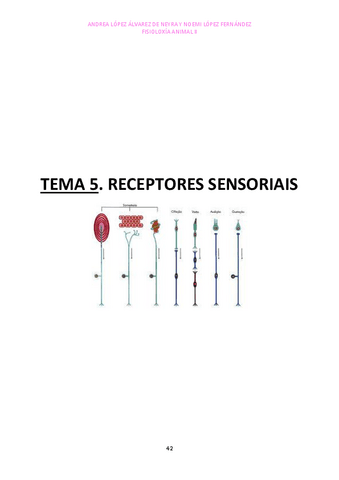 Tema-5.pdf