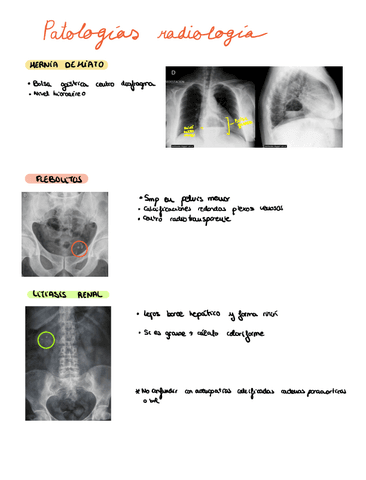 Como-identificar-las-patologias.pdf