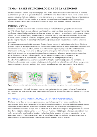 ATENCION-TEMA-78.pdf