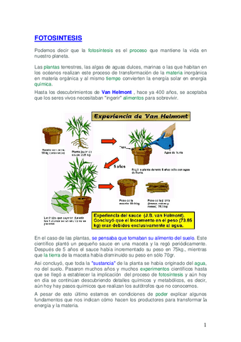 Tema-10-2-Fotosintesis.pdf