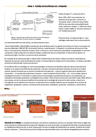 sociologia-del-consumo-tema-3.pdf