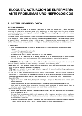 Bloque-V-clinica.pdf