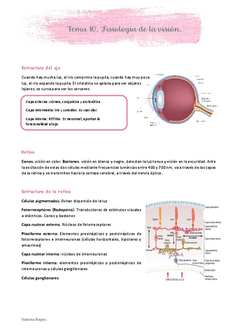 Tema-10-Estructura-del-ojo.pdf
