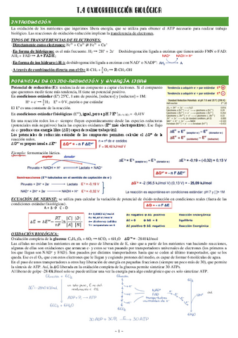 4-Oxidorreduccion-biologica.pdf