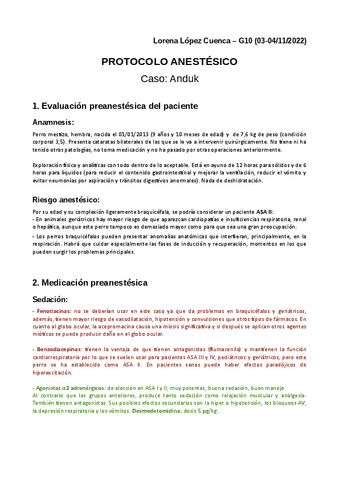 Trabajo-protocolo-anestesico.pdf