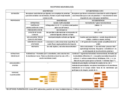 esquema-RECEPTORES-NEUROBIOLOGIA.pdf
