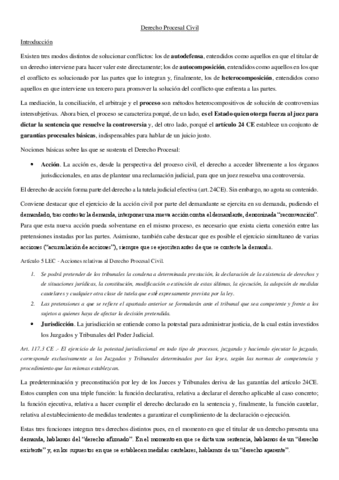 Derecho-Procesal-Civil-Apuntes-1-21.pdf