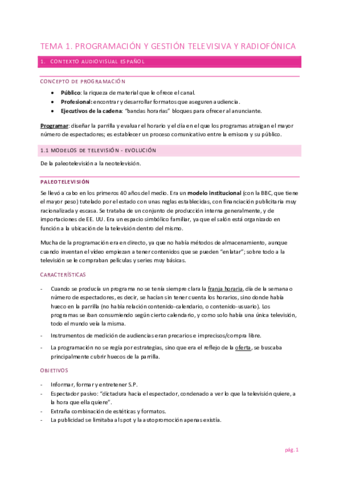 TEMARIO COMPLETO EVANGELINA PROGRAMACIÓN.pdf