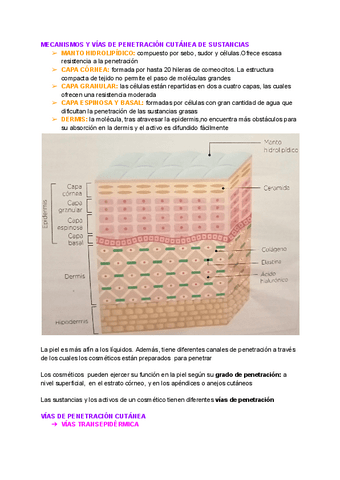 RESUMEN-DE-COSMETICA-TEMA-4.pdf