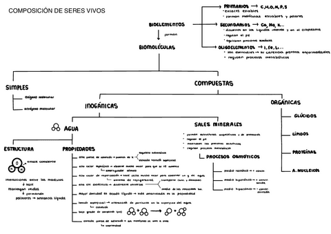 Biologia-Mapa-Conceptual-Bioelementos.pdf