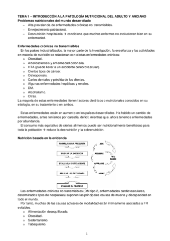 PNAyA Candela García 2018.pdf