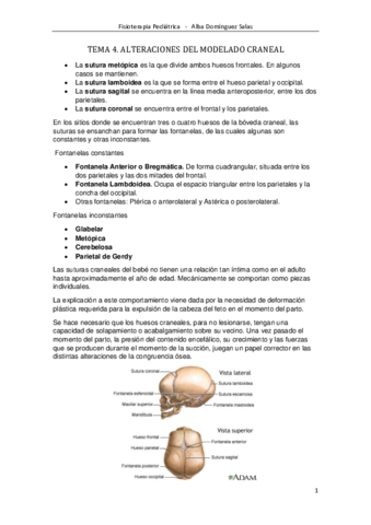 TEMA 4. ALT. MOLDEADO CRANEAL.pdf