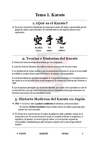 Teoria-de-Karate.pdf