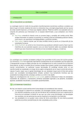 T3-SOCIOLOGIA.pdf