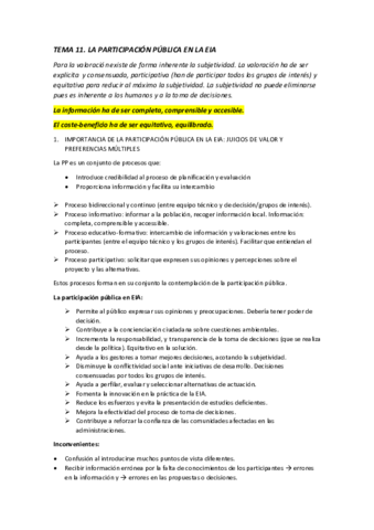 Miniatura del documento EIA T11 DEF.pdf