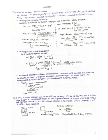examenes-p1.pdf