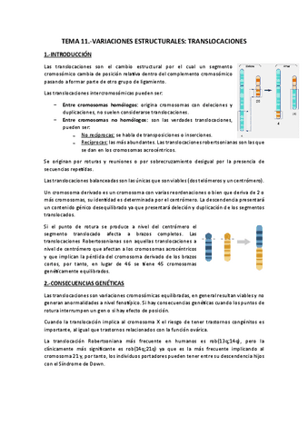Tema 11.-Translocaciones.pdf