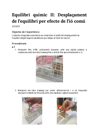 Practica-equilibri-quimic-II.pdf
