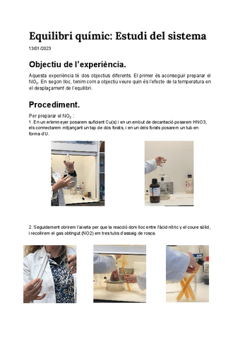 Practica-Equilibri-quimic.pdf