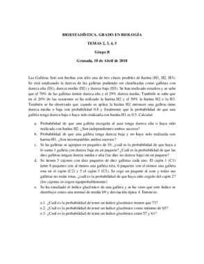 Prueba_B__Temas 2_3_4_5.pdf
