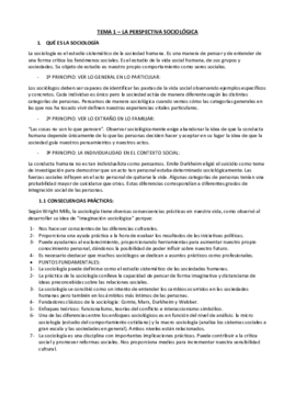 TEMA 1.pdf