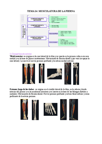 tema-14.pdf