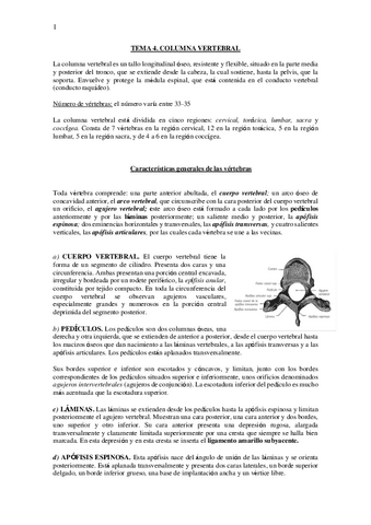 TEMA-4.pdf