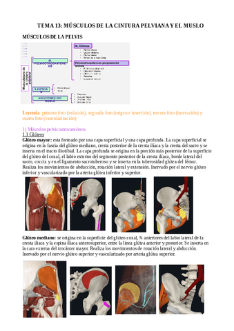 tema-13.pdf