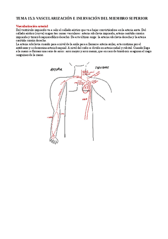 tema-15.3-vascularizacion-superior.pdf