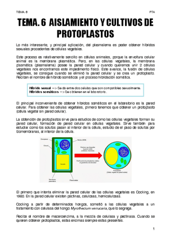 TEMA.-6-AISLAMIENTO-Y-CULTIVOS-DE-PROTOPLASTOS.pdf