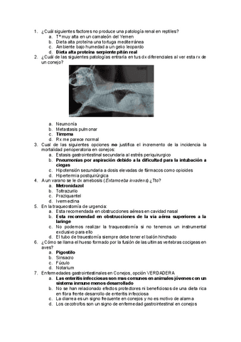 EXAMEN-MODULO-1-CACII.pdf