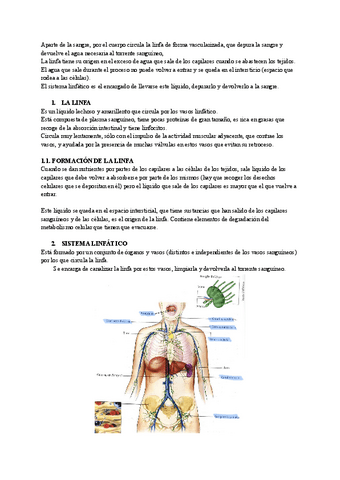 Resumen-sistema-linfatico.pdf