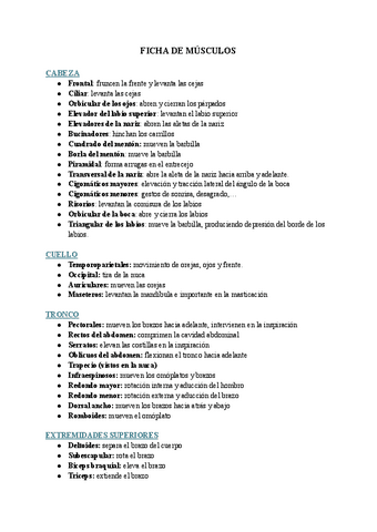 FICHA-DE-MUSCULOS-TEMA-8.pdf