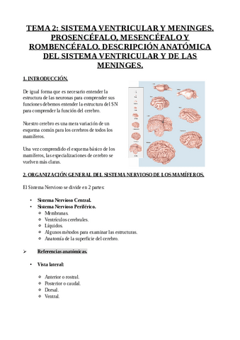 TEMA-2-NEUROANATOMIA.pdf