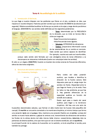 Tema-4-Neurobiologia-de-la-audicion.pdf