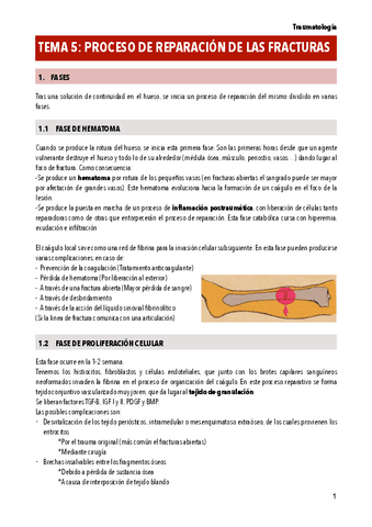 T5-PROCESO-DE-REPARACION-DE-LAS-FRACTURAS.pdf