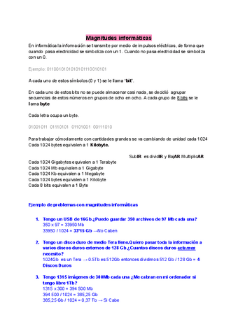 Magnitudes-informaticas.pdf