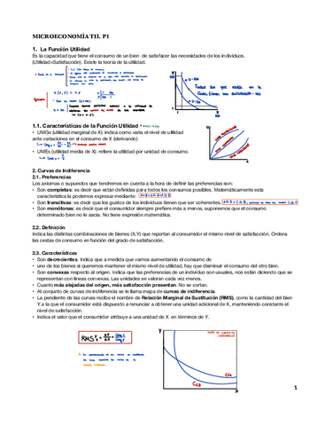 MICRO-T2.pdf