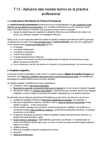 T.13-Aplicacio-dels-models-teorics-en-la-practica-professional.pdf