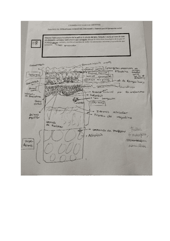 PORC-EFCH-I-2022-23-parcial.pdf
